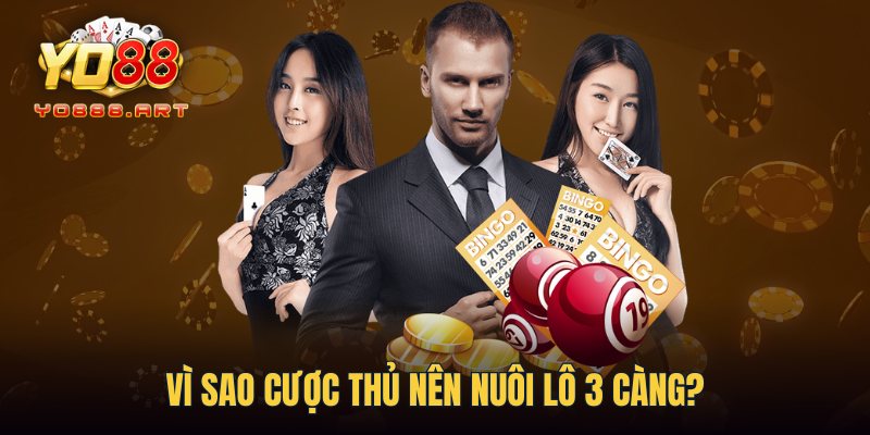 Vì sao cược thủ nên nuôi lô 3 càng?